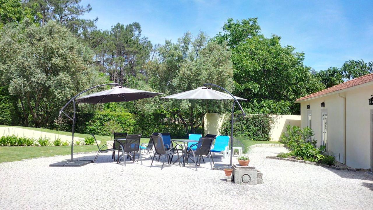 Bed and Breakfast Casa Aguas Mansas Cadima Zewnętrze zdjęcie