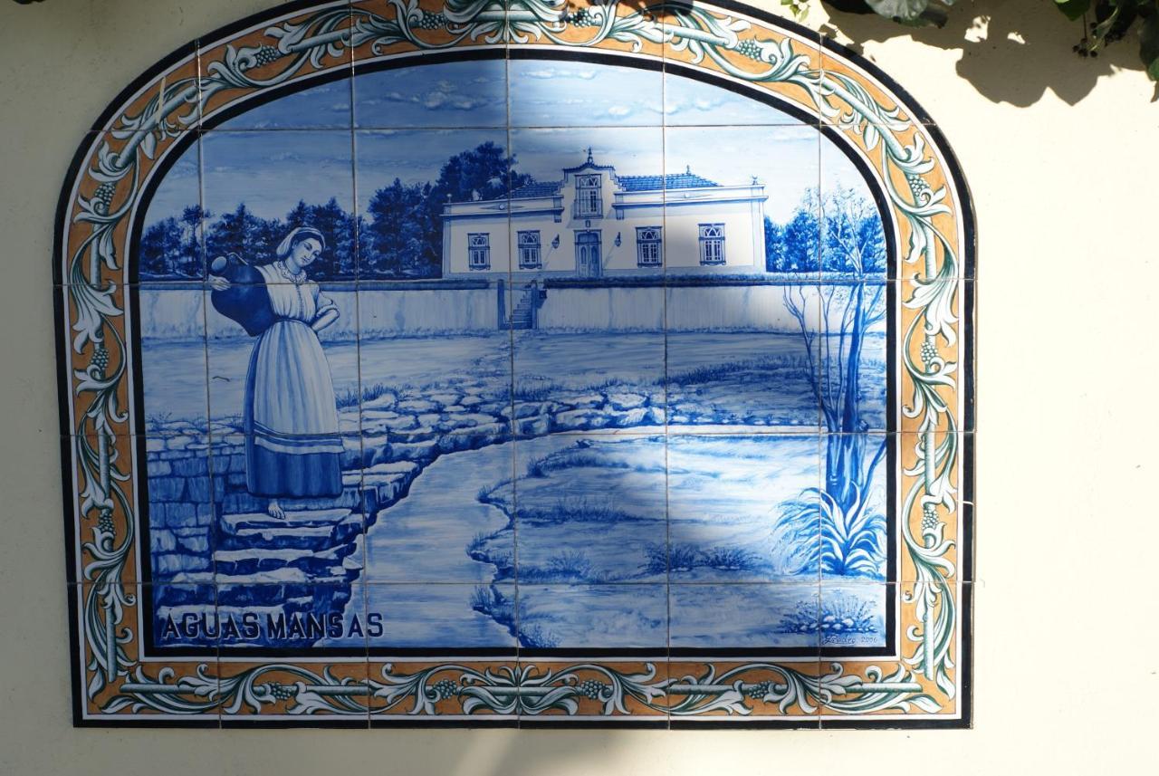 Bed and Breakfast Casa Aguas Mansas Cadima Zewnętrze zdjęcie